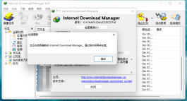 IDM 6.4.1.7绿色版 多线程高速下载利器