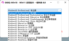 OSSQ-Win10 Win11系统版本一键切换